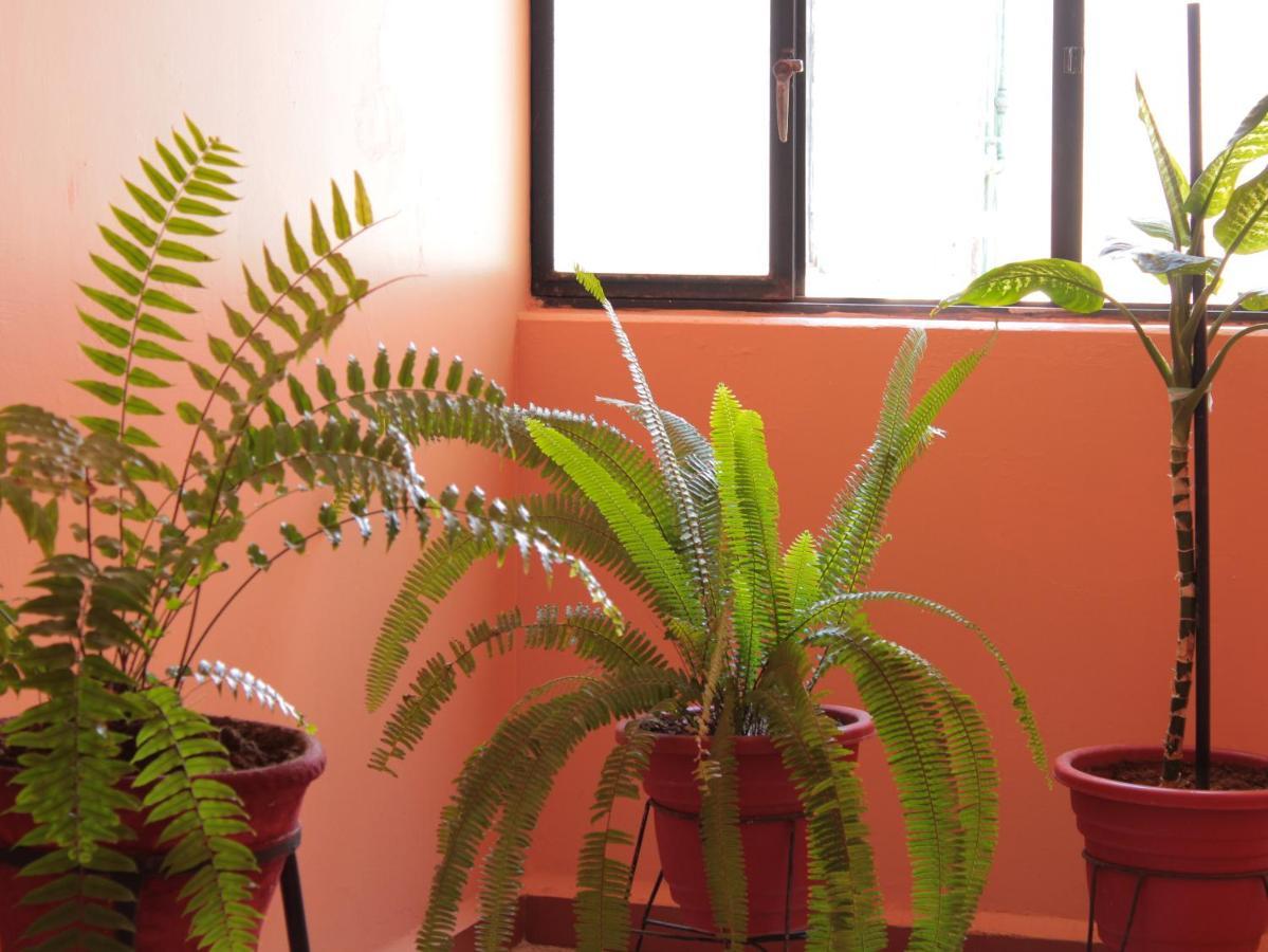 Hotel Galaxia Oaxaca Luaran gambar